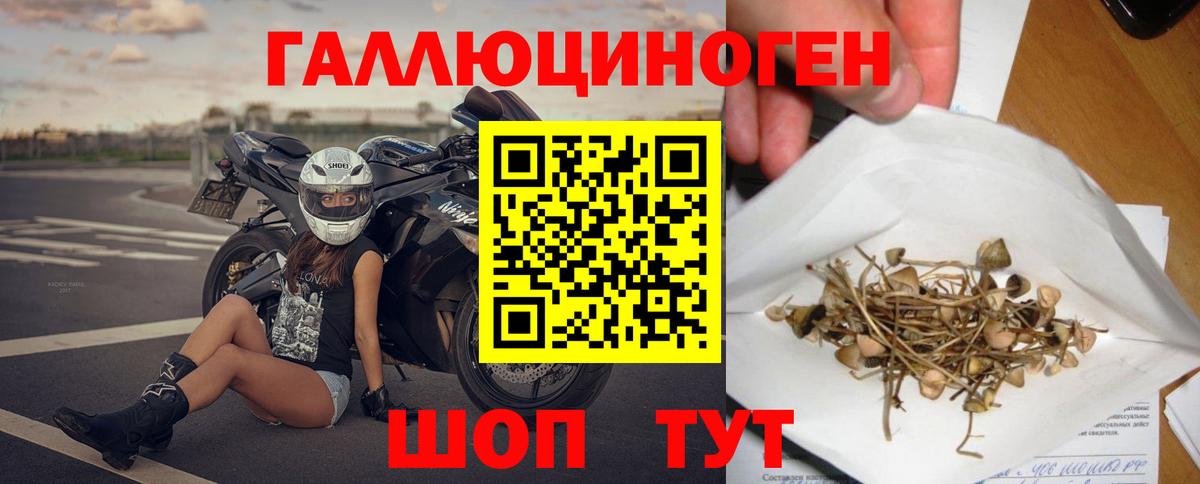 Псилоцибиновые грибы мицелий Сургут